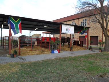 Percheron SA Exhibit - 